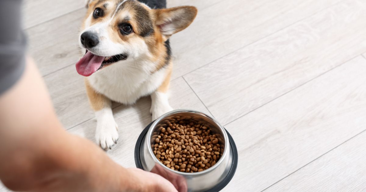 skladovani-granuli (1)